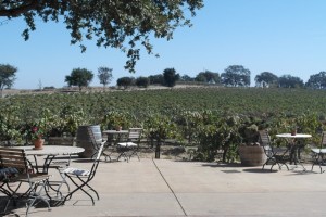 #fitcation #travelpaso #centralcoast #travel