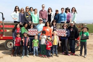 #JustAddStrawberries #California #Travel #spon