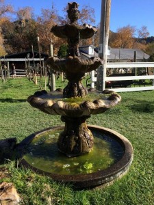 #Winetasting #centralcoast #KelseyWinery