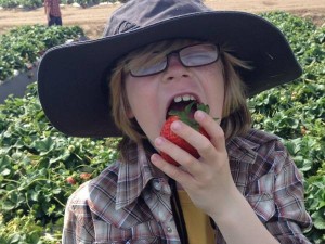 #JustAddStrawberries #California #Travel #spon