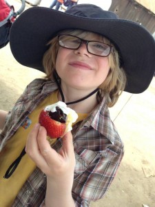 #JustAddStrawberries #California #Travel #spon