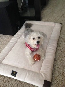 #ad #TallTailsAdventures