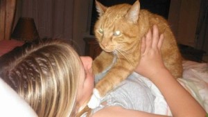 #NutrishForCats #MC #sponsored