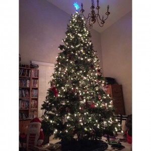 #Christmas #Holidays #HolidayFun #OurBigFamily