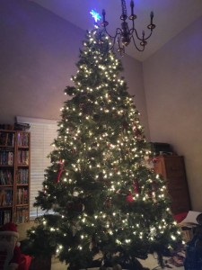#Christmas #FamilyFun #OurBigFamily