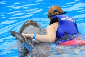 #PuertoVallarta #DolphinSwim #Travel #Honeymoon #Wedding #Carnival #FrankAndShannon