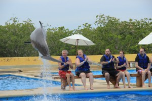 #PuertoVallarta #DolphinSwim #Travel #Honeymoon #Wedding #Carnival #FrankAndShannon