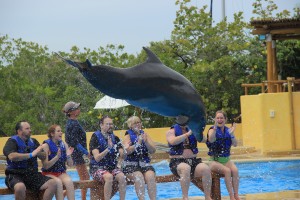 #PuertoVallarta #DolphinSwim #Travel #Honeymoon #Wedding #Carnival #FrankAndShannon