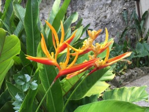 #HarrisonsCave #Barbados #Travel #Cruising #TravelBarbados