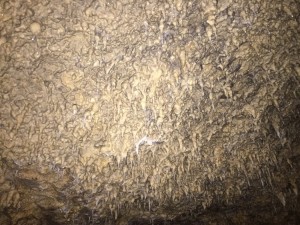 #HarrisonsCave #Barbados #Travel #Cruising #TravelBarbados