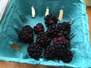 #FreshWorks #Fruit #Fresh #food #Foodie #LongLiveProduce #ad