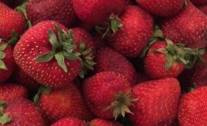 #FreshWorks #Fruit #Fresh #food #Foodie #LongLiveProduce #ad
