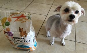 #Beneful #FriendsOfBeneful #ad