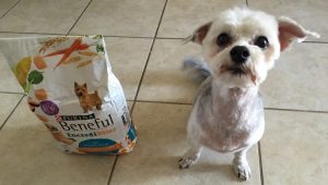 #Beneful #FriendsOfBeneful #ad