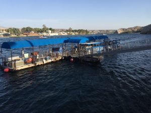 #Travel #Blogger #TravelBlogger #Laughlin #Nevada #RoadTrip #RVing