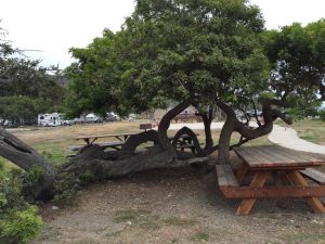 #Camping #RV #RVing #Travel #FamilyTravel #FamilyFun #Refugio #CentralCoast