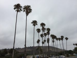 #Camping #RV #RVing #Travel #FamilyTravel #FamilyFun #Refugio #CentralCoast