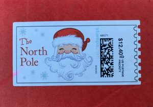 #PkgFromSanta #Santa #holiday #holidays #Santa #holidaygiftguide #ad