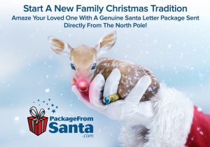 #PkgFromSanta #Santa #holiday #holidays #Santa #holidaygiftguide #ad