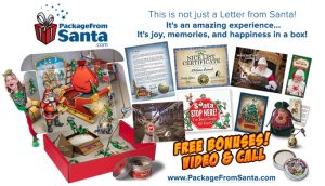 #PkgFromSanta #Santa #holiday #holidays #Santa #holidaygiftguide #ad