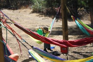 #Camp #camping #travel #familytravel #familyfun #summercamp #california #centralcoast #campoceanpines
