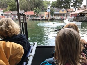 #UniversalStudios #HarryPotter #travel #familytravel #roadtrip #blog #blogger