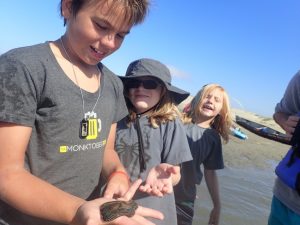 #Camp #camping #travel #familytravel #familyfun #summercamp #california #centralcoast #campoceanpines