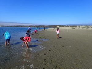 #Camp #camping #travel #familytravel #familyfun #summercamp #california #centralcoast #campoceanpines