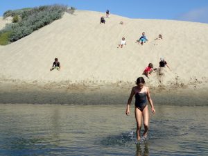 #Camp #camping #travel #familytravel #familyfun #summercamp #california #centralcoast #campoceanpines