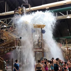 #GreatWolfLodge #travel #familytravel #waterpark #blogger #ad