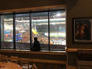 #GreatWolfLodge #travel #familytravel #waterpark #blogger #ad