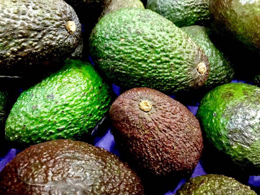 #AvoParty #Parties #avocados #food #foodie #recipes #ad