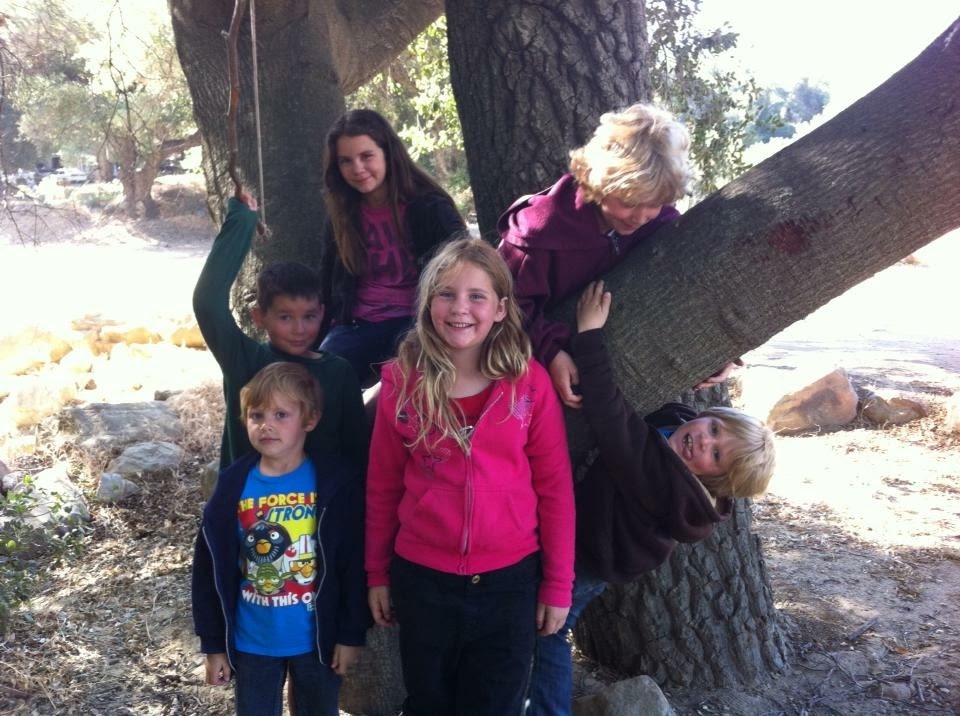 #family #trees 