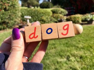 Montessori Toys #Toys #homeschool #reading #toys #kids #ad