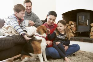 #Rover #dogs #dog #house #home #family #ad