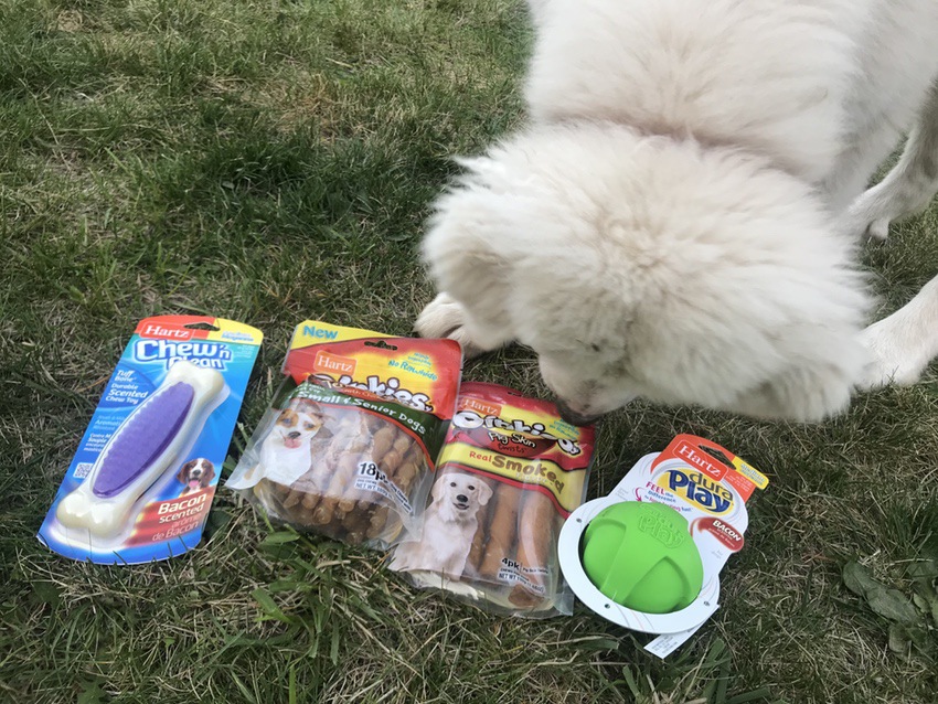 Harts Doggy Toys Pyrenees #Pyrenees #dogs #puppies #toys #ad