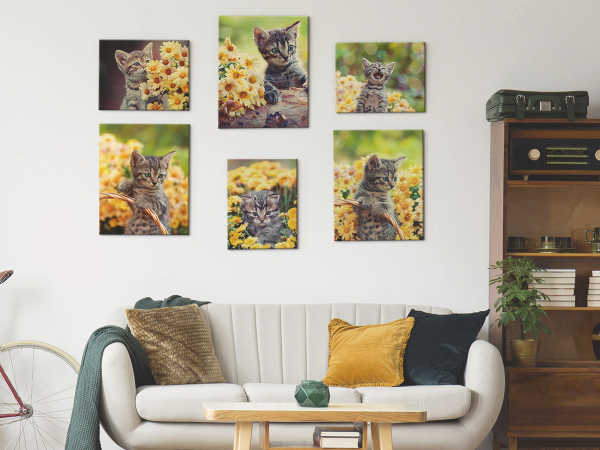 CanvasDiscount.com #CanvasDiscount #pictures #shopping #ad