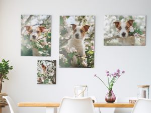 CanvasDiscount.com #CanvasDiscount #photos #shopping #ad