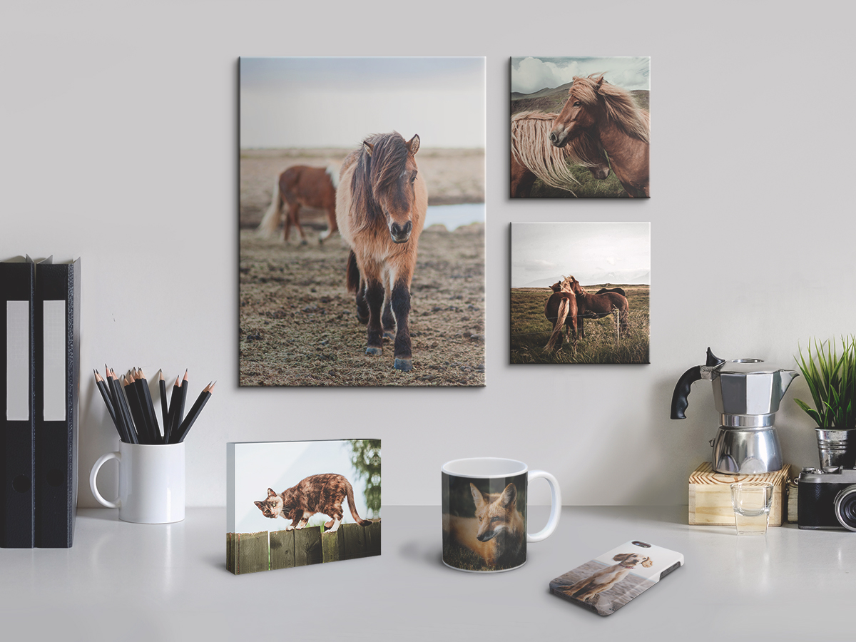 CanvasDiscount.com #CanvasDiscount #pictures #family #ad