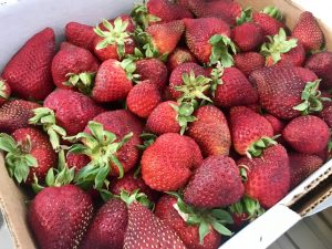 Homemade Strawberry Jame Recipe #strawberries #strawberryjam #recipe #homemade