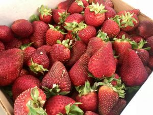 Homemade Strawberry Jame Recipe #strawberries #strawberryjam #recipe #homemade