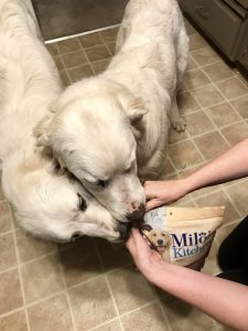 Milo's Kitchen Dog Treats #MilosKitchen #dogs #ad