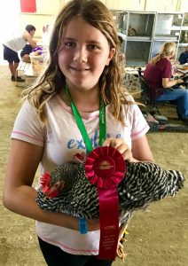 Santa Barbara County Fair #fair #fun #familyfun #amusementpark #blog #blogger #bloggermom #momblogger #savings
