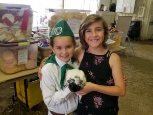 Santa Barbara County Fair #fair #fun #familyfun #amusementpark #blog #blogger #bloggermom #momblogger #savings