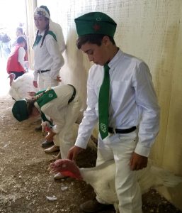 Santa Barbara County Fair #fair #fun #familyfun #amusementpark #blog #blogger #bloggermom #momblogger #savings