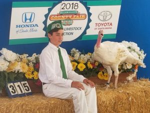 Santa Barbara County Fair #fair #fun #familyfun #amusementpark #blog #blogger #bloggermom #momblogger #savings