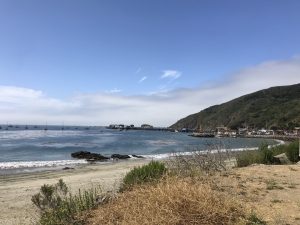 Neutrogena Sunscreen #Neutrogena #blog #blogging #blogger #bloggermom #momblogger #momlife #EveryDayIsASUNday #beauty #skin #summer #family #wahm #fourthofjuly #ad