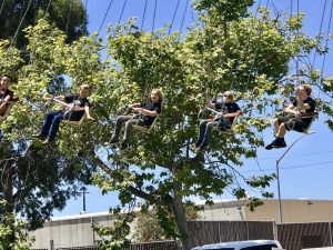 Santa Barbara County Fair #fair #fun #familyfun #amusementpark #blog #blogger #bloggermom #momblogger #savings
