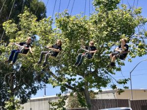 Santa Barbara County Fair #fair #fun #familyfun #amusementpark #blog #blogger #bloggermom #momblogger #savings