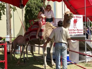 Santa Barbara County Fair #fair #fun #familyfun #amusementpark #blog #blogger #bloggermom #momblogger #savings